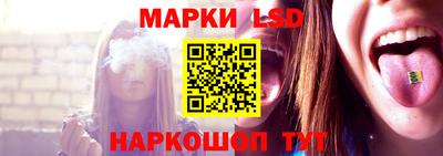 стафф Краснознаменск